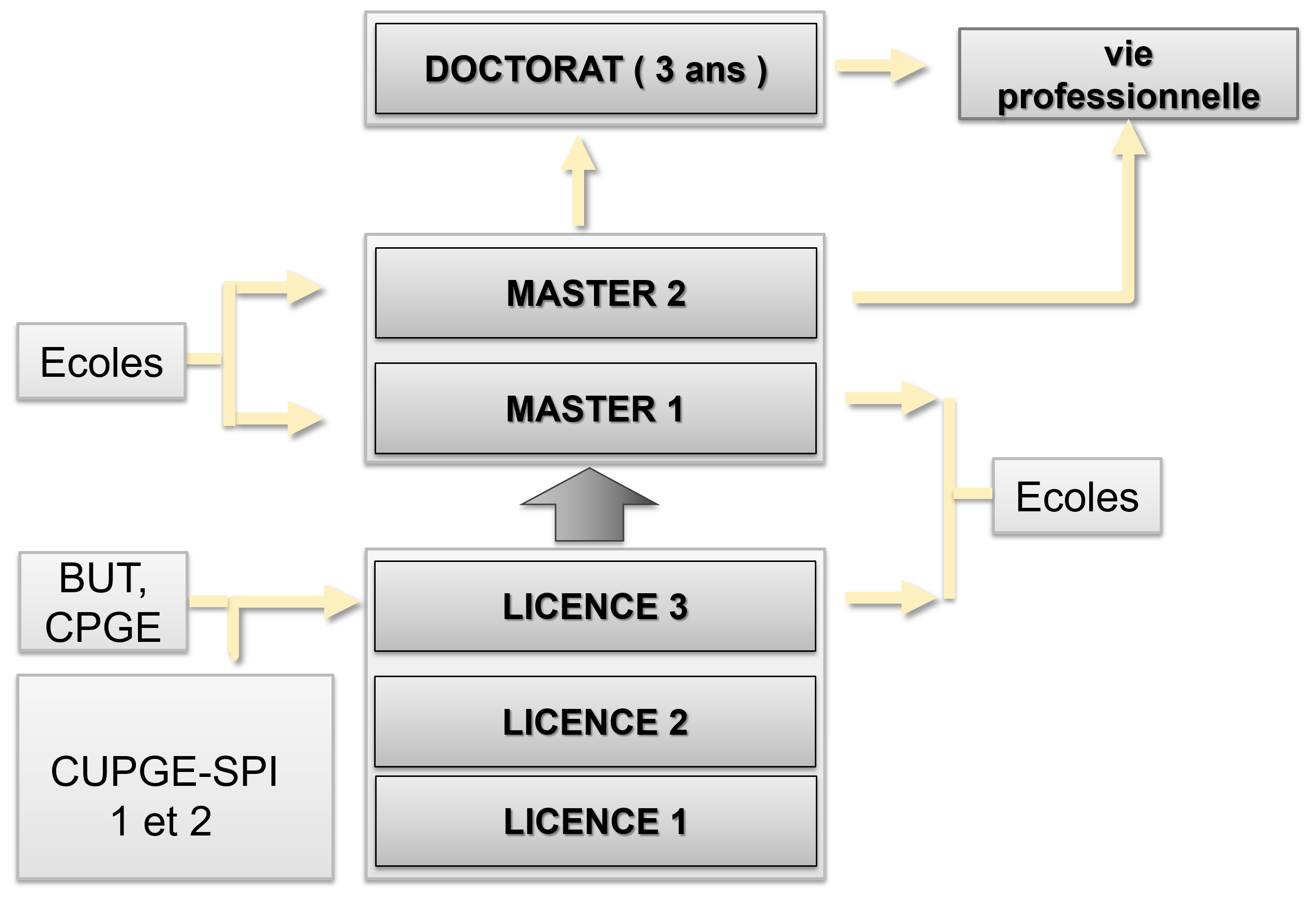 Cursus à l'université